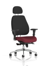 Chiro Plus High Back Ergonomic Posture Chair with Arms - Image 46