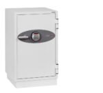 Phoenix Fire Fighter Fire Safe - Image 10